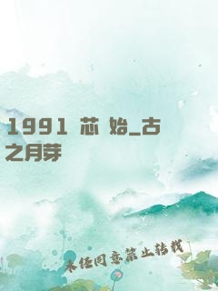 1991從芯開始