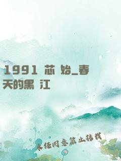 1991從芯開始