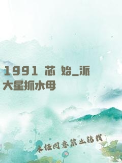 1991從芯開始