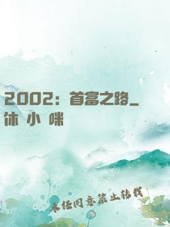2002：首富之路