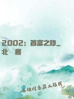 2002：首富之路