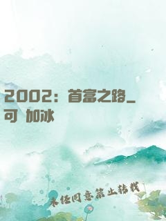 2002：首富之路
