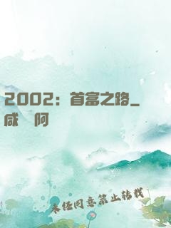 2002：首富之路