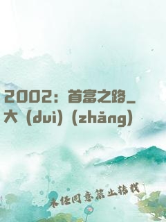2002：首富之路