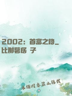 2002：首富之路
