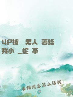 4P被兩個男人換著躁我小說