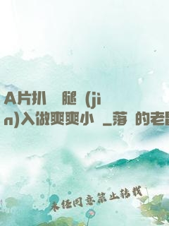 A片扒開雙腿進(jìn)入做爽爽小說