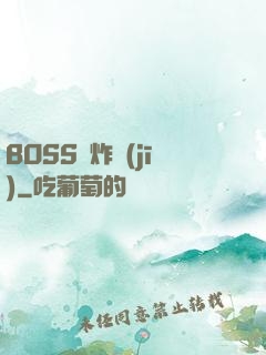 BOSS轟炸機(jī)