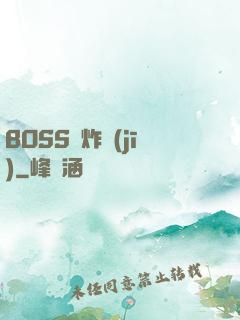 BOSS轟炸機(jī)