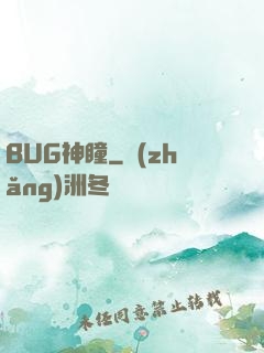 BUG神瞳
