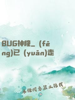BUG神瞳