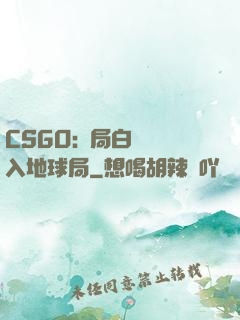 CSGO:開局白銀誤入地球局