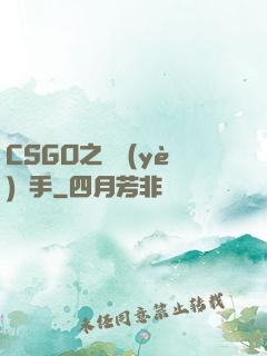 CSGO之職業(yè)選手