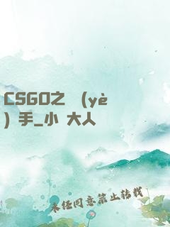 CSGO之職業(yè)選手