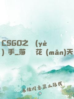 CSGO之職業(yè)選手