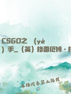 CSGO之職業(yè)選手