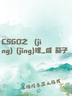 CSGO之電競(jìng)經(jīng)理