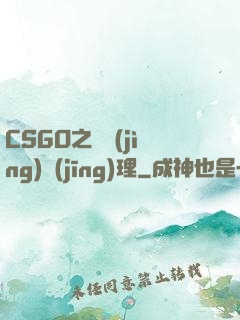 CSGO之電競(jìng)經(jīng)理