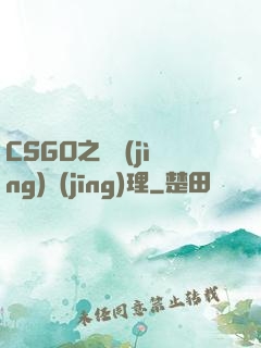 CSGO之電競(jìng)經(jīng)理