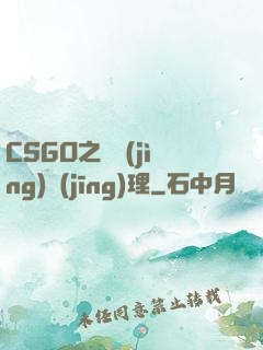 CSGO之電競(jìng)經(jīng)理