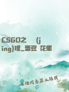 CSGO之電競經(jīng)理
