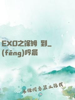 EXO之保姆駕到