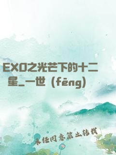 EXO之光芒下的十二顆星
