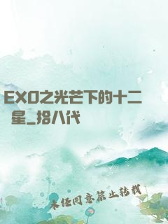 EXO之光芒下的十二顆星