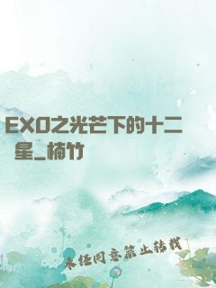 EXO之光芒下的十二顆星