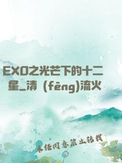 EXO之光芒下的十二顆星