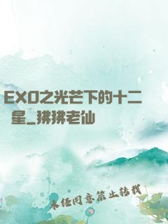 EXO之光芒下的十二顆星