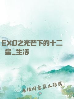 EXO之光芒下的十二顆星