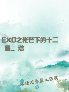 EXO之光芒下的十二顆星