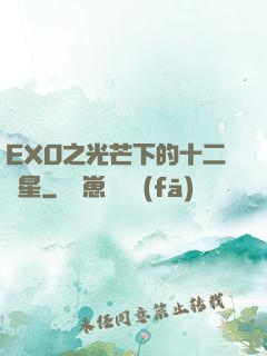 EXO之光芒下的十二顆星