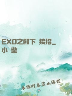 EXO之殿下請接招