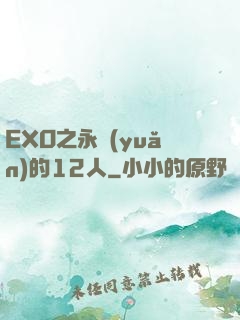 EXO之永遠(yuǎn)的12人