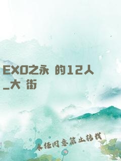 EXO之永遠的12人