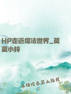 HP走近魔法世界