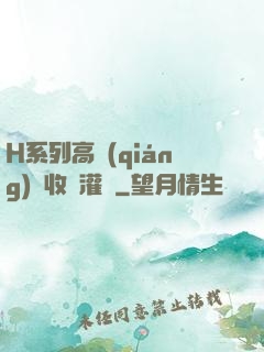 H系列高強(qiáng)無收縮灌漿