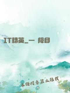 IT精英