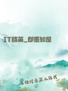 IT精英