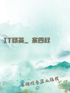 IT精英