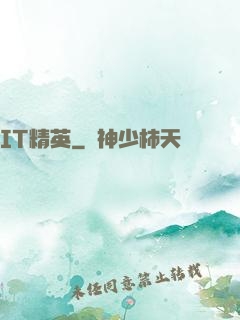 IT精英