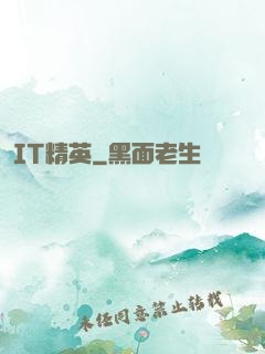 IT精英