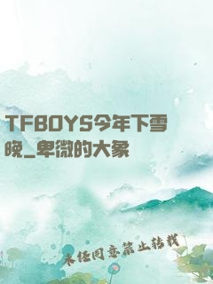 TFBOYS今年下雪晚