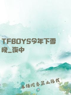 TFBOYS今年下雪晚