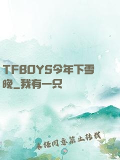 TFBOYS今年下雪晚