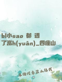 bl小sao貨都濕透了高h(yuǎn)