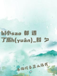 bl小sao貨都濕透了高h(yuǎn)