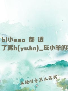 bl小sao貨都濕透了高h(yuǎn)